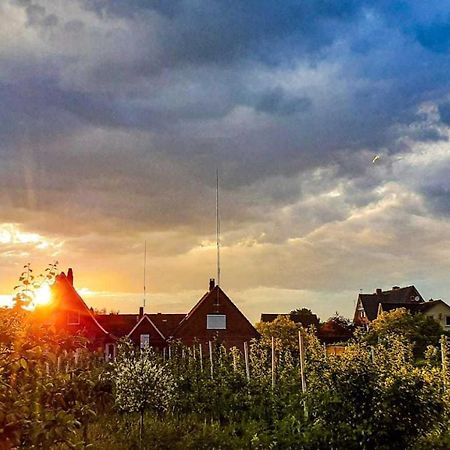 Ferienwohnung Bluetenblick Bachenbrock ภายนอก รูปภาพ