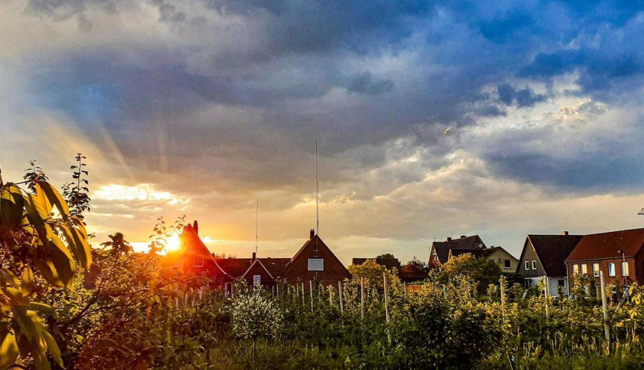 Ferienwohnung Bluetenblick Bachenbrock ภายนอก รูปภาพ